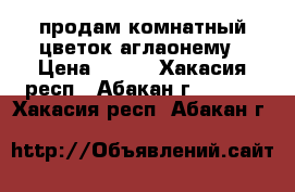 продам комнатный цветок аглаонему › Цена ­ 700 - Хакасия респ., Абакан г.  »    . Хакасия респ.,Абакан г.